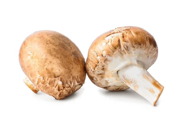 Funghi Crudi Sfondo Bianco — Foto Stock