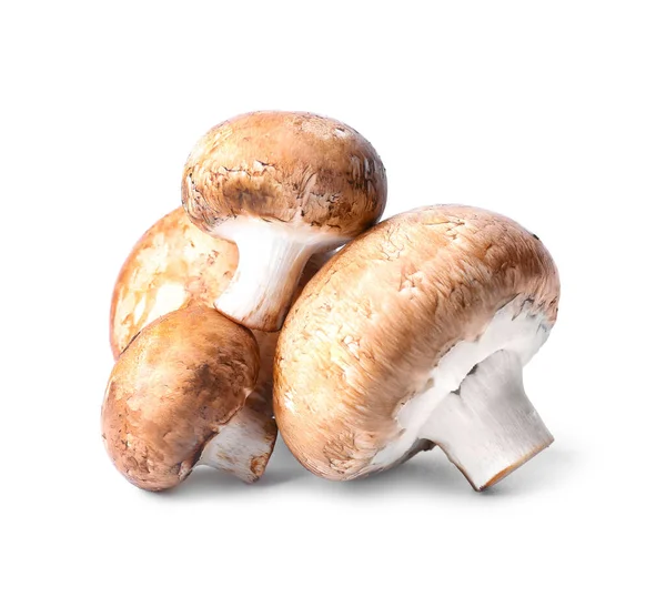 Raw Mushrooms White Background — Stock Photo, Image