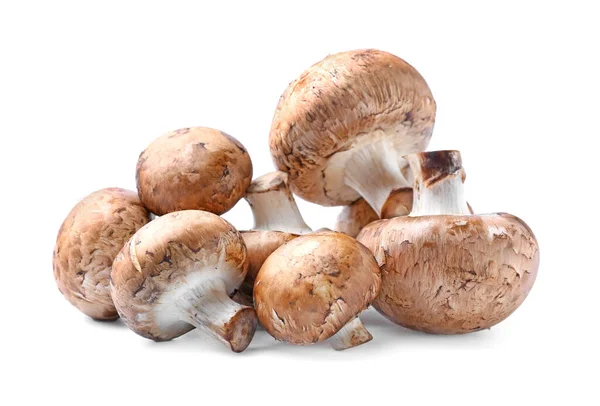 Funghi Crudi Sfondo Bianco — Foto Stock