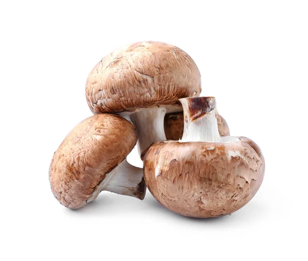Cogumelos Crus Fundo Branco — Fotografia de Stock