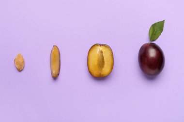 Renkli arkaplanlı lezzetli erik