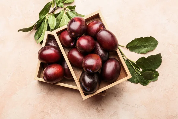 Tasty Sweet Plums Color Background — Stock Photo, Image