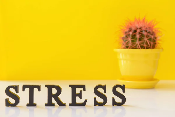 Kaktus Med Ordet Stress Bordet — Stockfoto