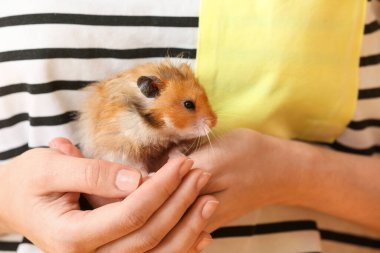 Komik hamsterlı kadın, yakın plan.
