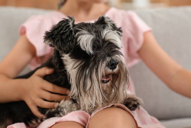Evde küçük bir kızla sevimli bir köpek.