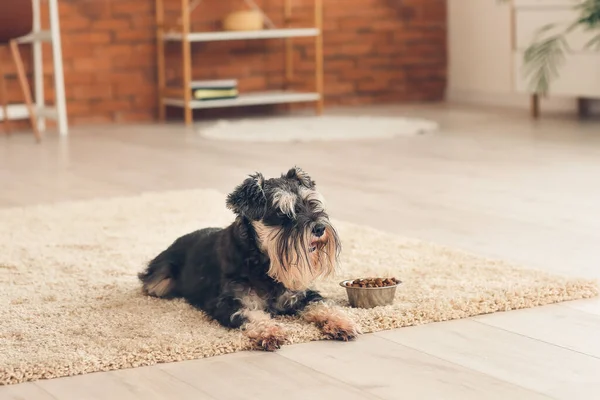 Sød Hund Nær Skål Med Mad Derhjemme - Stock-foto