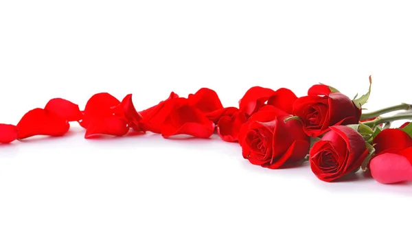 Összetétel Gyönyörű Rózsákkal Szirmokkal Fehér Alapon — Stock Fotó