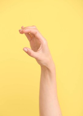 Renk arkaplanında C harfi görünüyor. İşaret dili alfabesi