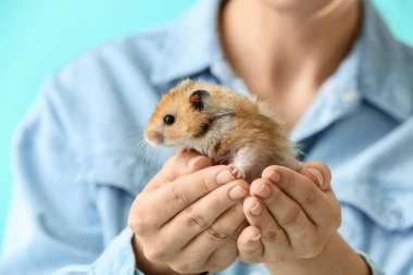 Komik hamsterlı kadın, yakın plan.