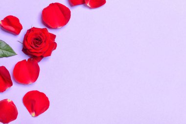 Renkli arkaplanda güzel gül yaprakları