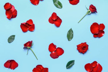 Renkli arkaplanda güzel gül yaprakları