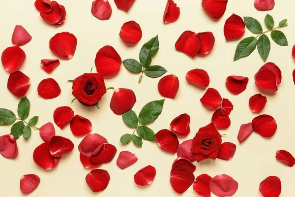 Красивые Розы Лепестки Цветном Фоне — стоковое фото