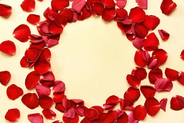 Frame Made Beautiful Rose Petals Color Background — Stock Photo, Image