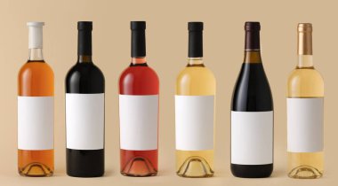 Renkli arka planda boş etiketli şarap şişeleri. Tasarım için model