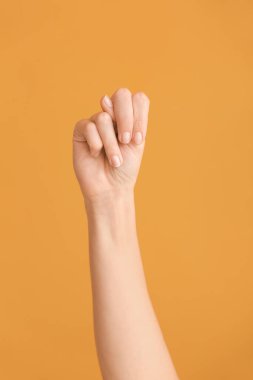 Renk arkaplanında N harfi görünüyor. İşaret dili alfabesi