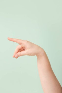 Renk arkaplanında P harfi gösteriliyor. İşaret dili alfabesi