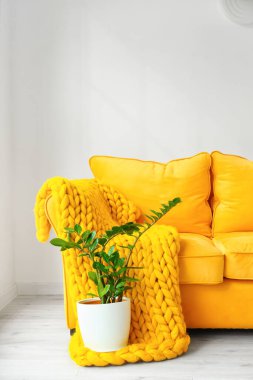 İçinde kanepe, çiçek ve ekose olan modern bir oda.