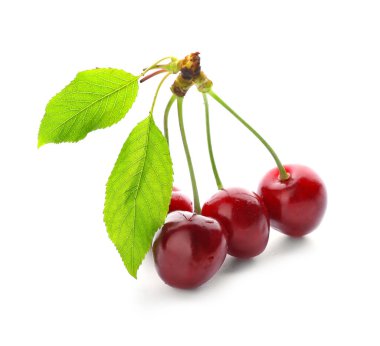 Beyaz arka planda olgun tatlı kiraz