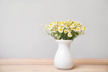 Vazoda bir buket taze papatya çiçeği ve gri arka plan.