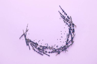 Renkli arkaplanda güzel lavanta çiçekleri