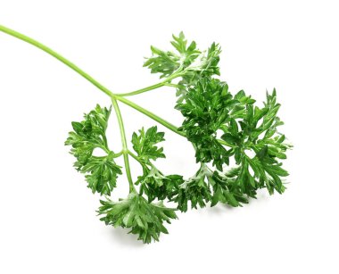 Beyaz arkaplanda taze maydanoz