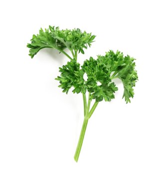 Beyaz arkaplanda taze maydanoz