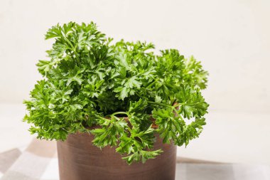 Beyaz arkaplanda taze maydanoz