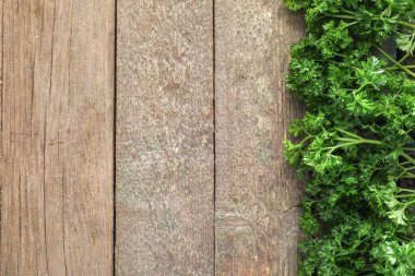 Tahta arka planda taze maydanoz