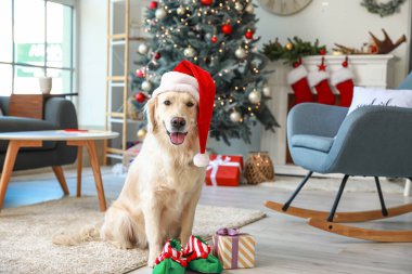 Noel arifesinde evde Noel Baba şapkalı şirin bir köpek.