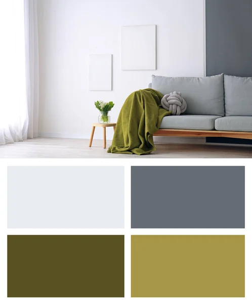 リビングルームの壁近くのスタイリッシュなソファ 異なる色パターン — ストック写真
