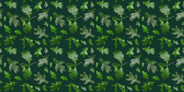 Many Green Oak Leaves Dark Color Background — Stock Photo, Image