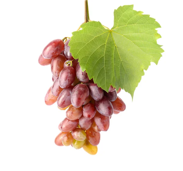 Ripe Grapes White Background — Stock Photo, Image