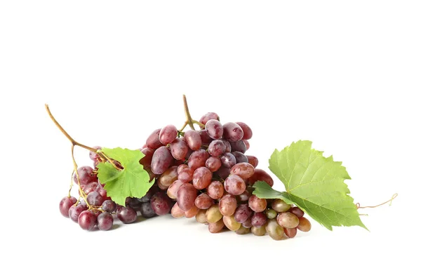 Ripe Grapes White Background — Stock Photo, Image