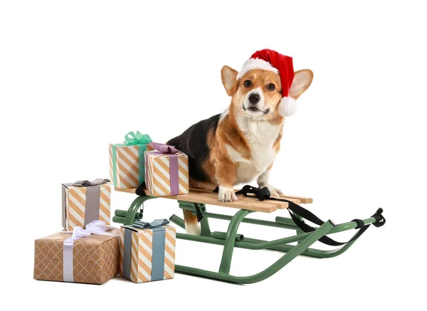 Cute Dog Christmas Gifts Sledges White Background — Stock Photo, Image