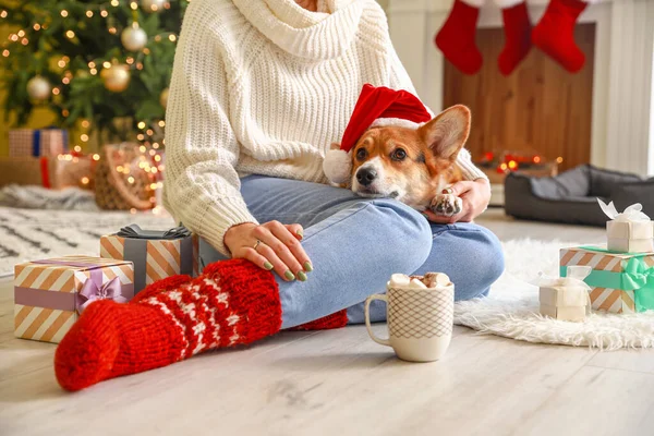 Милий Собака Господарем Вдома Напередодні Різдва — стокове фото