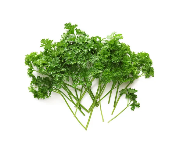 Fresh Parsley White Background Stock Picture