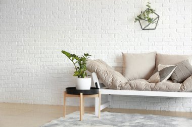 Şık, modern kanepeli bir oda.