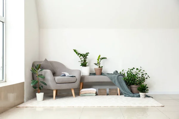 Interior of room with stylish armchair and houseplants near white wall
