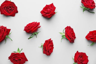 Beyaz arkaplanda güzel kırmızı güller