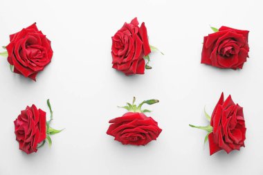 Açık arkaplanda güzel kırmızı güller