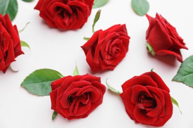 Güzel kırmızı güller ve açık arkaplanda yapraklar