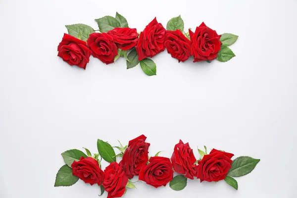 Beautiful Red Roses White Background — Stock Photo, Image