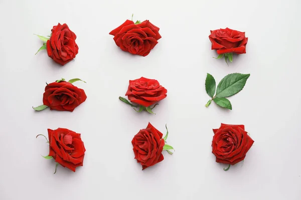 Красивые Красные Розы Цветном Фоне — стоковое фото