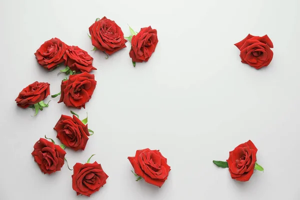 Beautiful Red Roses Color Background — Stock Photo, Image