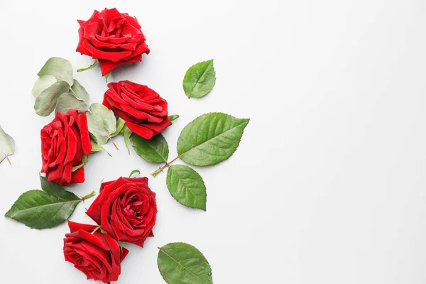 Hermosas Rosas Rojas Hojas Sobre Fondo Blanco — Foto de Stock