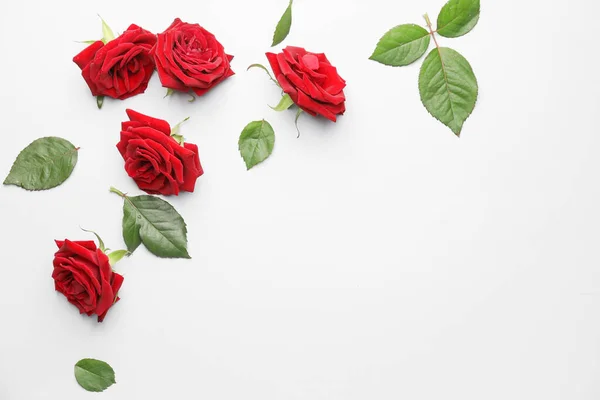 Beautiful Red Roses Leaves White Background — Stock Photo, Image