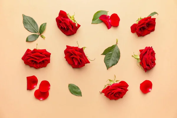 Belles Roses Rouges Feuilles Sur Fond Couleur — Photo