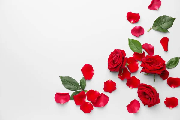 Belles Roses Rouges Pétales Sur Fond Blanc — Photo