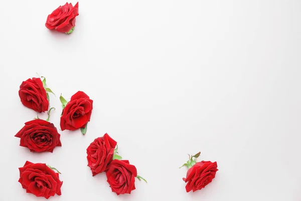 Όμορφα Κόκκινα Τριαντάφυλλα Στο Φόντο Χρώμα — Φωτογραφία Αρχείου