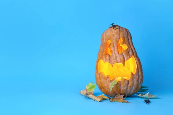 Vyřezávané Halloween Dýně Barevném Pozadí — Stock fotografie